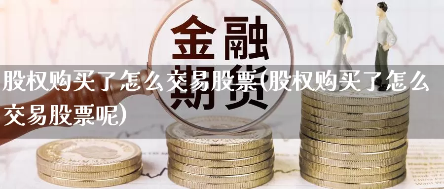 股权购买了怎么交易股票(股权购买了怎么交易股票呢)_https://www.zzcnk.com_股票_第1张