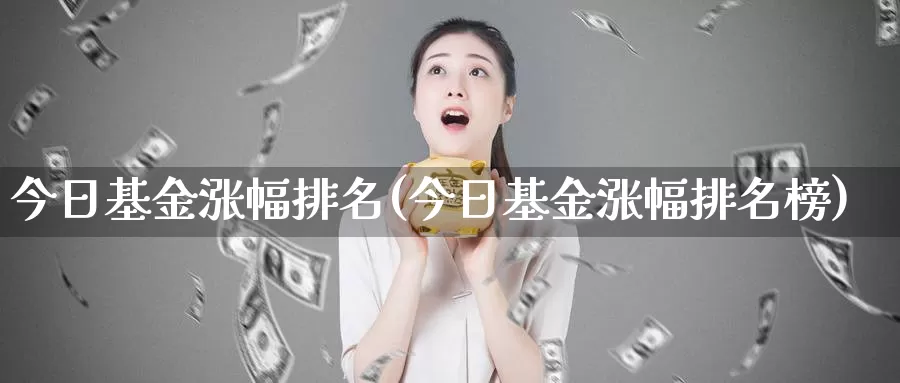 今日基金涨幅排名(今日基金涨幅排名榜)_https://www.zzcnk.com_股票_第1张