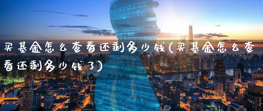 买基金怎么查看还剩多少钱(买基金怎么查看还剩多少钱了)_https://www.zzcnk.com_基金_第1张