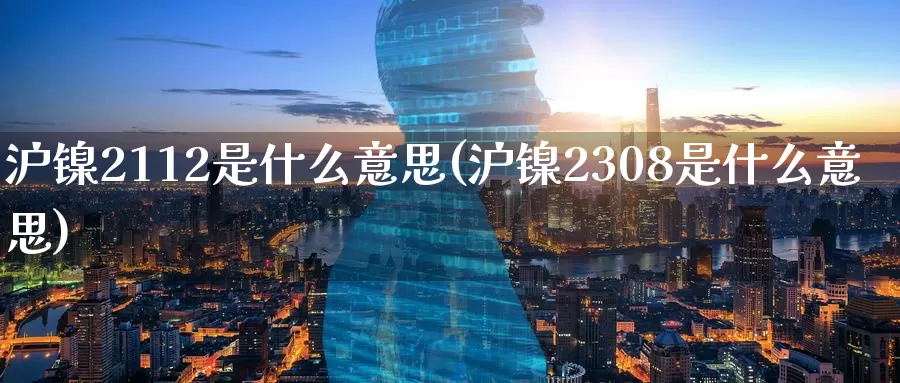 沪镍2112是什么意思(沪镍2308是什么意思)_https://www.zzcnk.com_内盘期货_第1张