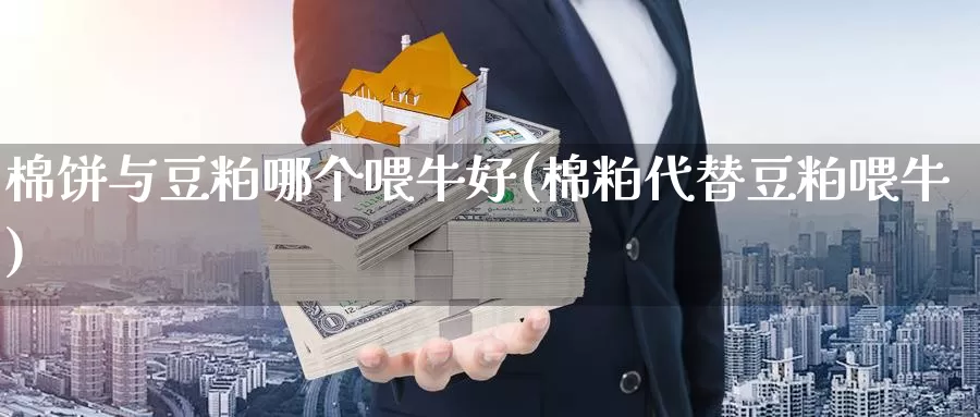 棉饼与豆粕哪个喂牛好(棉粕代替豆粕喂牛)_https://www.zzcnk.com_股指期货_第1张