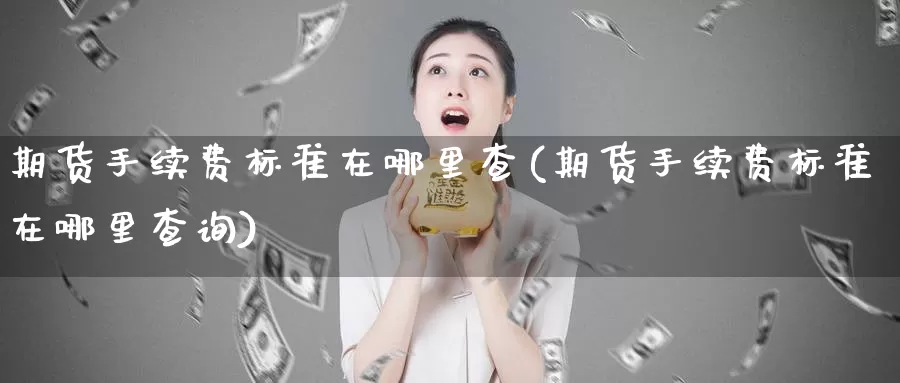 期货手续费标准在哪里查(期货手续费标准在哪里查询)_https://www.zzcnk.com_纳指期货_第1张