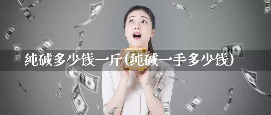 纯碱多少钱一斤(纯碱一手多少钱)_https://www.zzcnk.com_内盘期货_第1张