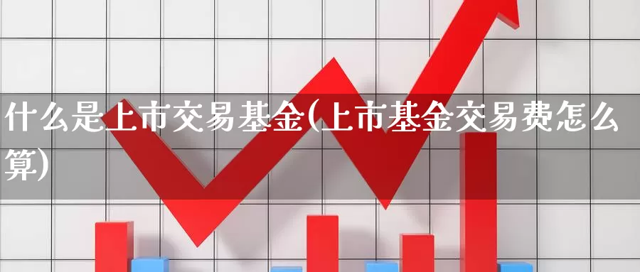 什么是上市交易基金(上市基金交易费怎么算)_https://www.zzcnk.com_基金_第1张