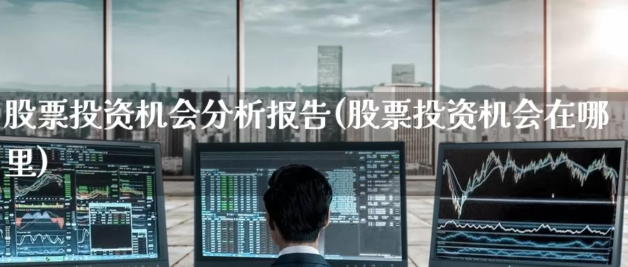 股票投资机会分析报告(股票投资机会在哪里)_https://www.zzcnk.com_理财_第1张