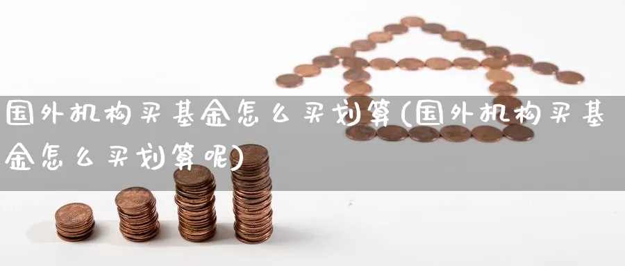 国外机构买基金怎么买划算(国外机构买基金怎么买划算呢)_https://www.zzcnk.com_基金_第1张