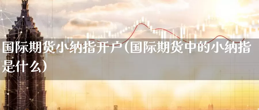 国际期货小纳指开户(国际期货中的小纳指是什么)_https://www.zzcnk.com_期货百科_第1张