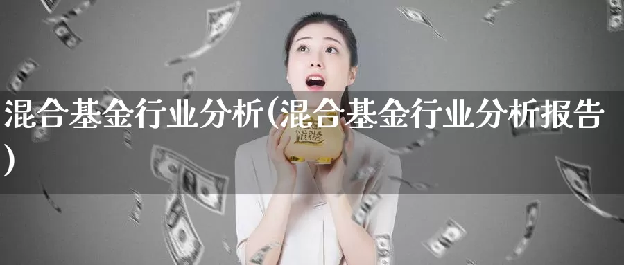 混合基金行业分析(混合基金行业分析报告)_https://www.zzcnk.com_理财_第1张