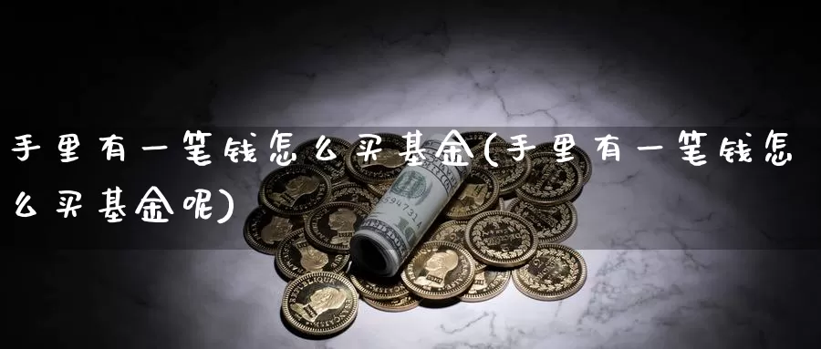 手里有一笔钱怎么买基金(手里有一笔钱怎么买基金呢)_https://www.zzcnk.com_基金_第1张