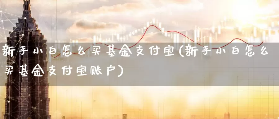 新手小白怎么买基金支付宝(新手小白怎么买基金支付宝账户)_https://www.zzcnk.com_基金_第1张