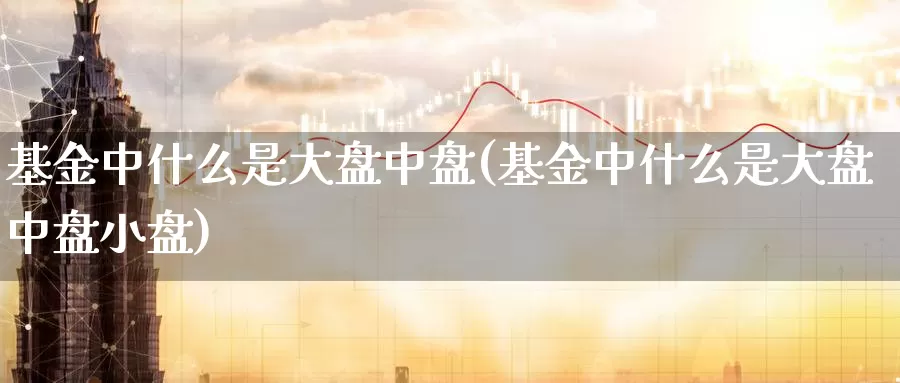 基金中什么是大盘中盘(基金中什么是大盘中盘小盘)_https://www.zzcnk.com_基金_第1张