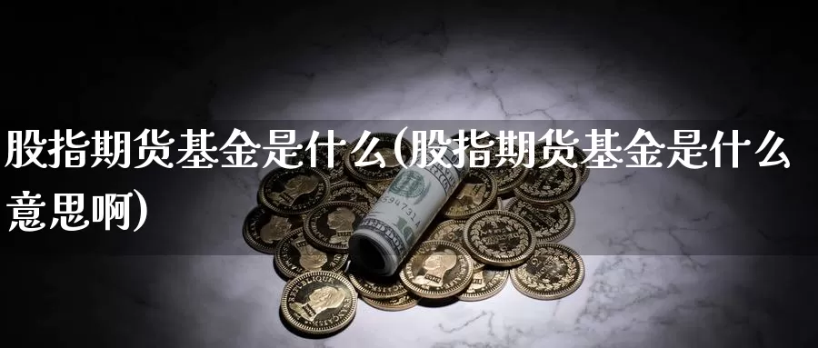 股指期货基金是什么(股指期货基金是什么意思啊)_https://www.zzcnk.com_期货_第1张