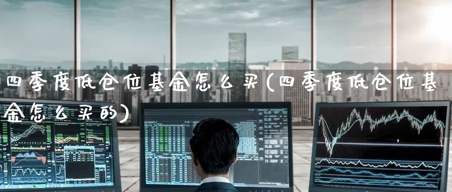 四季度低仓位基金怎么买(四季度低仓位基金怎么买的)_https://www.zzcnk.com_基金_第1张