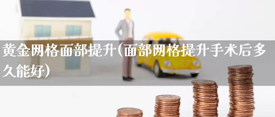 黄金网格面部提升(面部网格提升手术后多久能好)_https://www.zzcnk.com_期货百科_第1张