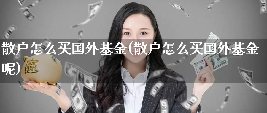 散户怎么买国外基金(散户怎么买国外基金呢)_https://www.zzcnk.com_基金_第1张