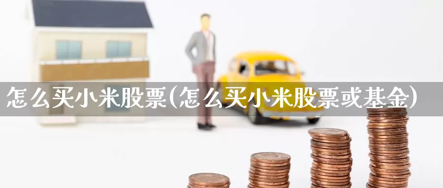 怎么买小米股票(怎么买小米股票或基金)_https://www.zzcnk.com_理财_第1张