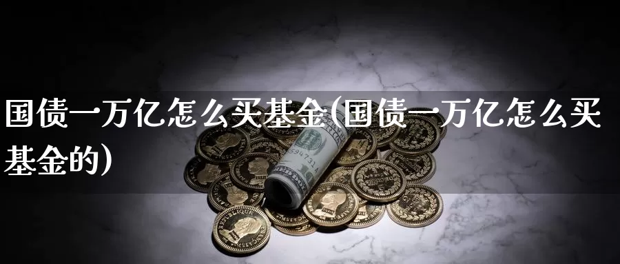 国债一万亿怎么买基金(国债一万亿怎么买基金的)_https://www.zzcnk.com_期货_第1张