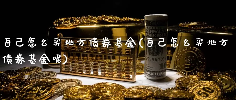 自己怎么买地方债券基金(自己怎么买地方债券基金呢)_https://www.zzcnk.com_基金_第1张