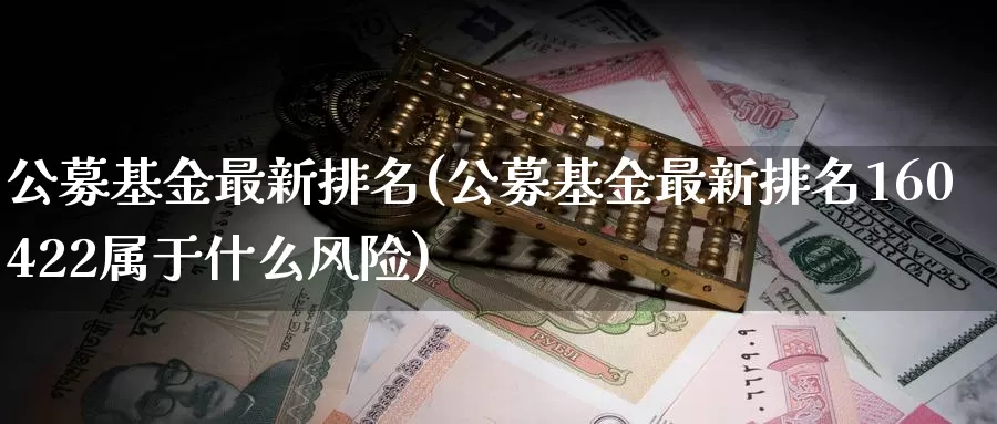 公募基金最新排名(公募基金最新排名160422属于什么风险)_https://www.zzcnk.com_期货_第1张