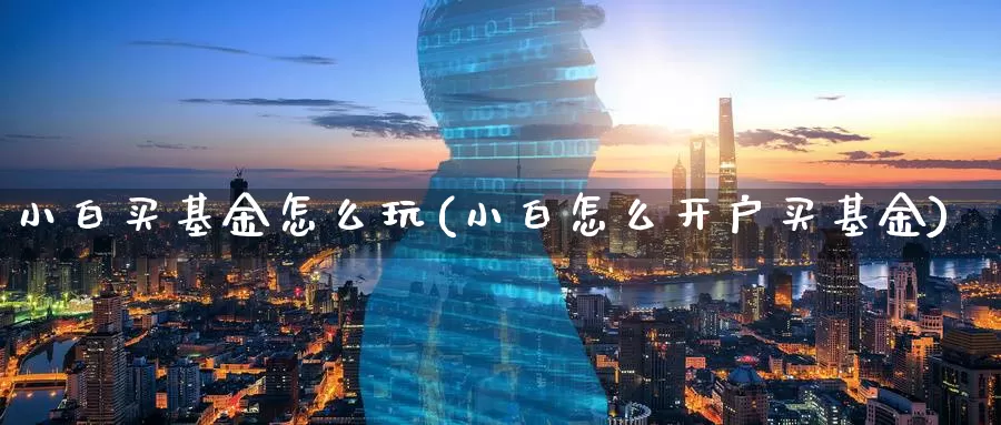 小白买基金怎么玩(小白怎么开户买基金)_https://www.zzcnk.com_基金_第1张