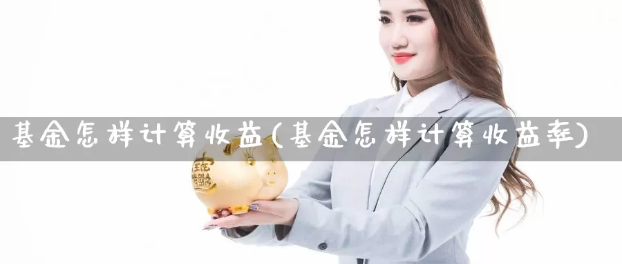 基金怎样计算收益(基金怎样计算收益率)_https://www.zzcnk.com_股票_第1张
