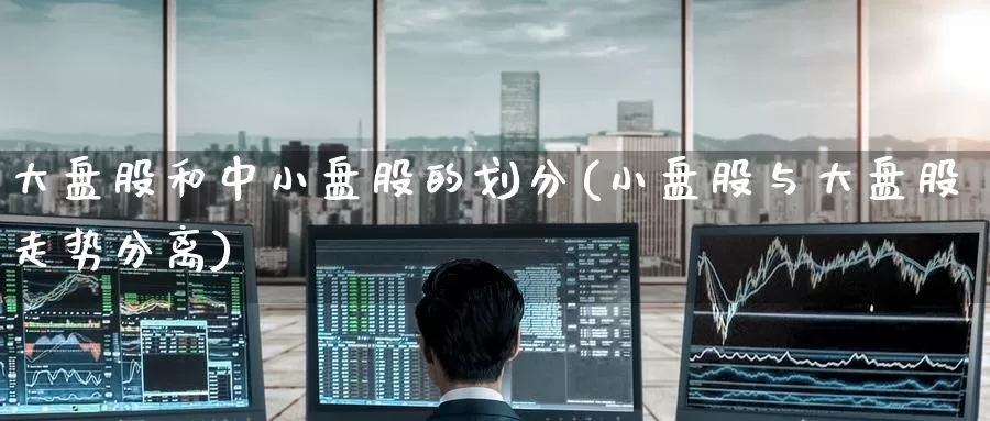 大盘股和中小盘股的划分(小盘股与大盘股走势分离)_https://www.zzcnk.com_纳指期货_第1张