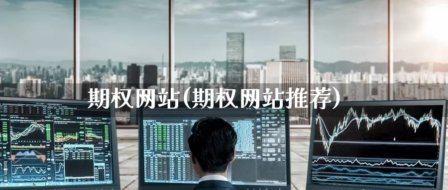 期权网站(期权网站推荐)_https://www.zzcnk.com_内盘期货_第1张