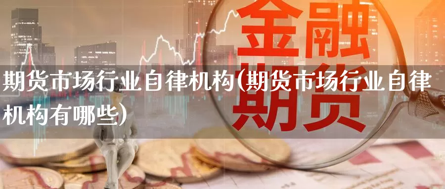 期货市场行业自律机构(期货市场行业自律机构有哪些)_https://www.zzcnk.com_股指期货_第1张