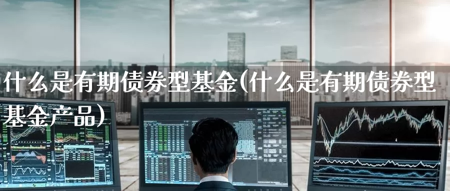 什么是有期债券型基金(什么是有期债券型基金产品)_https://www.zzcnk.com_基金_第1张