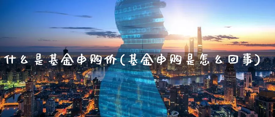 什么是基金申购价(基金申购是怎么回事)_https://www.zzcnk.com_基金_第1张
