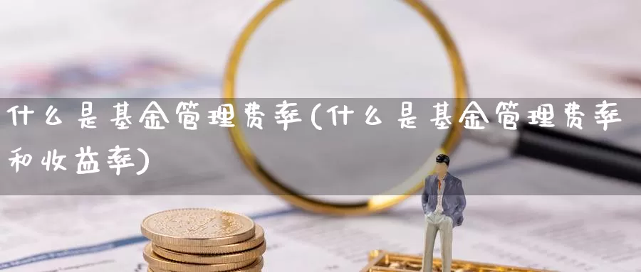 什么是基金管理费率(什么是基金管理费率和收益率)_https://www.zzcnk.com_基金_第1张