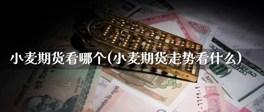 小麦期货看哪个(小麦期货走势看什么)_https://www.zzcnk.com_股指期货_第1张