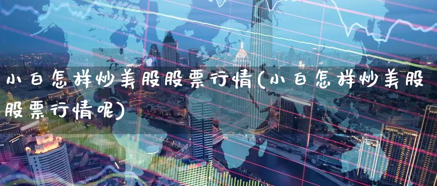 小白怎样炒美股股票行情(小白怎样炒美股股票行情呢)_https://www.zzcnk.com_理财_第1张