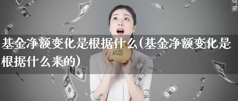 基金净额变化是根据什么(基金净额变化是根据什么来的)_https://www.zzcnk.com_基金_第1张