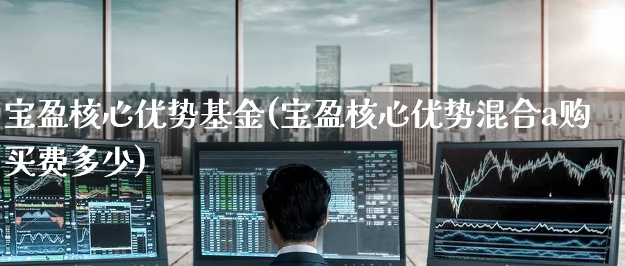 宝盈核心优势基金(宝盈核心优势混合a购买费多少)_https://www.zzcnk.com_基金_第1张