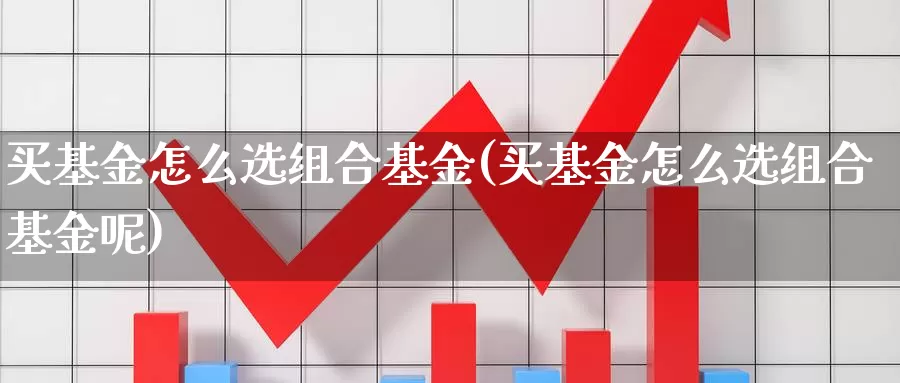 买基金怎么选组合基金(买基金怎么选组合基金呢)_https://www.zzcnk.com_基金_第1张