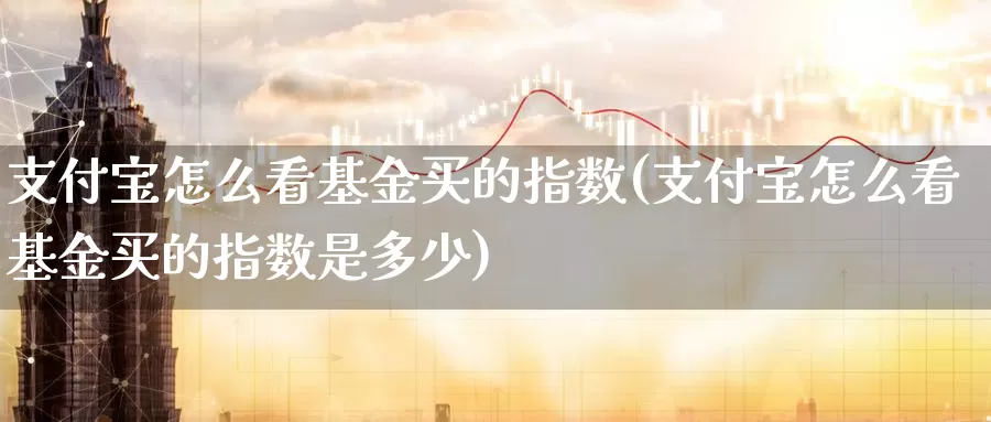 支付宝怎么看基金买的指数(支付宝怎么看基金买的指数是多少)_https://www.zzcnk.com_基金_第1张
