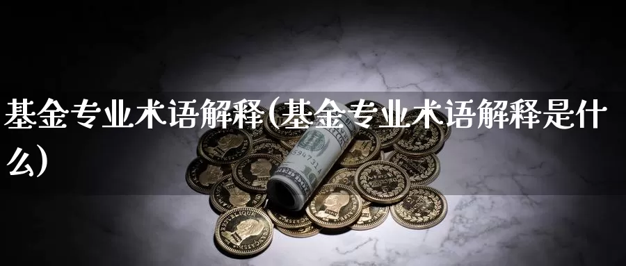 基金专业术语解释(基金专业术语解释是什么)_https://www.zzcnk.com_股票_第1张