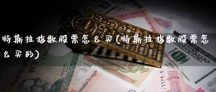 特斯拉指数股票怎么买(特斯拉指数股票怎么买的)_https://www.zzcnk.com_财经_第1张