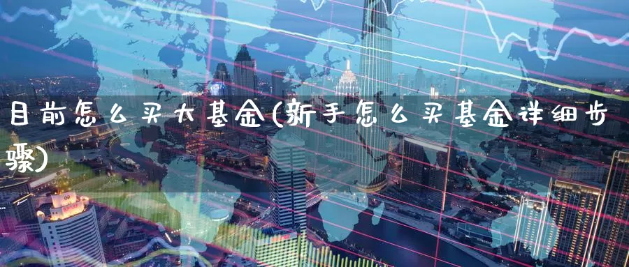 目前怎么买大基金(新手怎么买基金详细步骤)_https://www.zzcnk.com_基金_第1张
