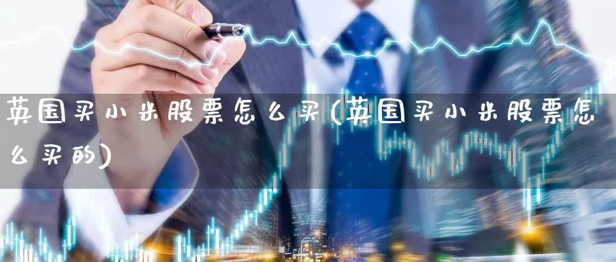 英国买小米股票怎么买(英国买小米股票怎么买的)_https://www.zzcnk.com_理财_第1张