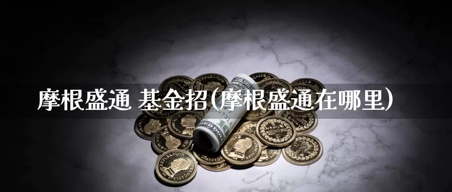 摩根盛通 基金招(摩根盛通在哪里)_https://www.zzcnk.com_财经_第1张