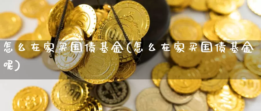 怎么在家买国债基金(怎么在家买国债基金呢)_https://www.zzcnk.com_基金_第1张