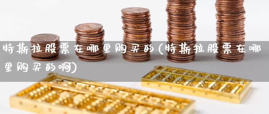 特斯拉股票在哪里购买的(特斯拉股票在哪里购买的啊)_https://www.zzcnk.com_股票_第1张