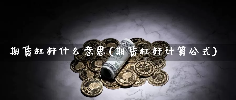 期货杠杆什么意思(期货杠杆计算公式)_https://www.zzcnk.com_股指期货_第1张