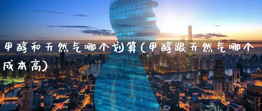 甲醇和天然气哪个划算(甲醇跟天然气哪个成本高)_https://www.zzcnk.com_期货百科_第1张