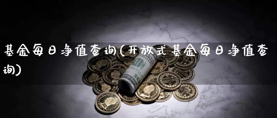 基金每日净值查询(**式基金每日净值查询)_https://www.zzcnk.com_股票_第1张