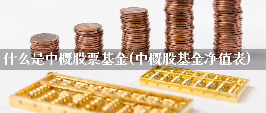 什么是中概股票基金(中概股基金净值表)_https://www.zzcnk.com_基金_第1张