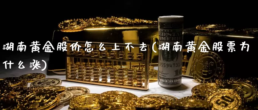 湖南黄金股价怎么上不去(湖南黄金股票为什么涨)_https://www.zzcnk.com_理财_第1张