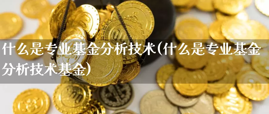 什么是专业基金分析技术(什么是专业基金分析技术基金)_https://www.zzcnk.com_基金_第1张